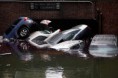 /album/a1/a1030-sandy-new-york-city-full-600-jpg/